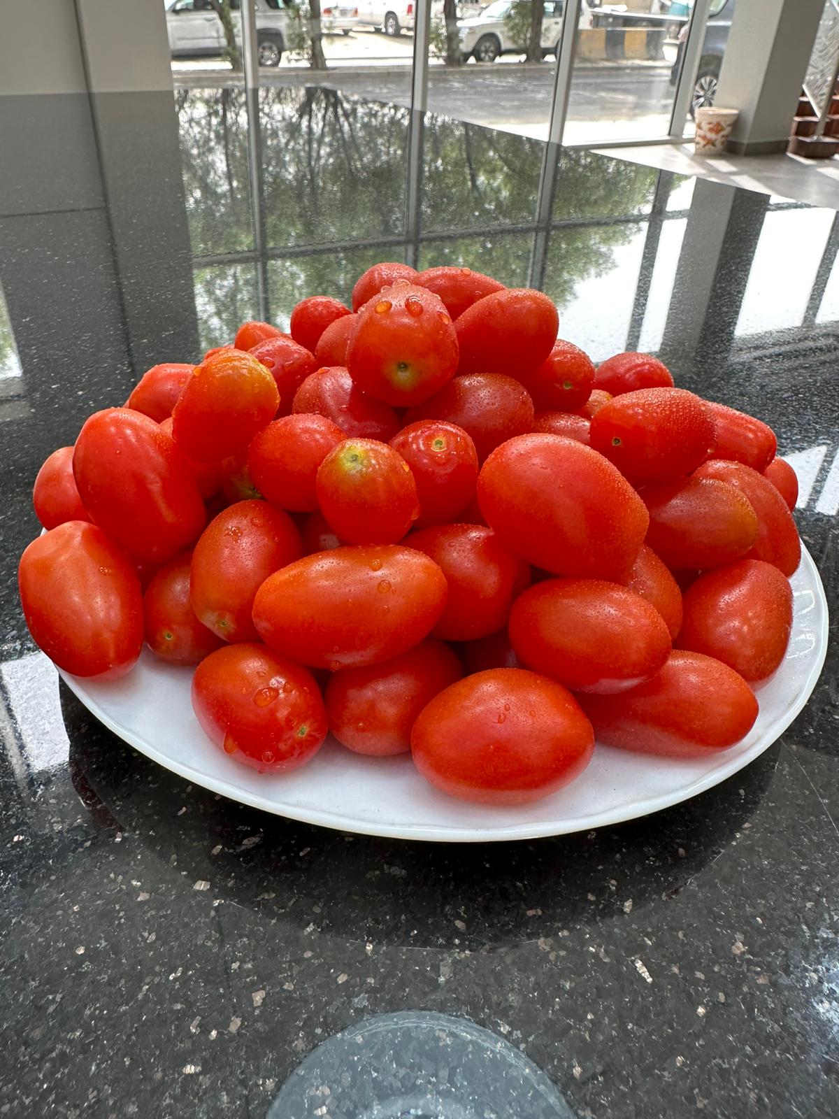 بيبي طماطم